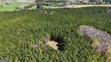 403 ACRES Youngs Farm Road - Photo 13