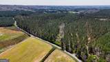 403 ACRES Youngs Farm Road - Photo 14