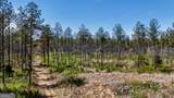 403 ACRES Youngs Farm Road - Photo 2