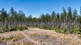 403 ACRES Youngs Farm Road - Photo 3