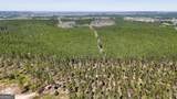 403 ACRES Youngs Farm Road - Photo 6