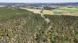403 ACRES Youngs Farm Road - Photo 7