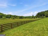 619 Hamp Mill Road - Photo 8