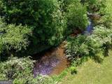 619 Hamp Mill Road - Photo 9