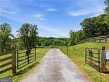 619 Hamp Mill Road - Photo 99