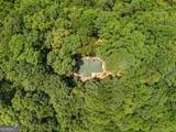 3807 Al Mangum Road - Photo 50