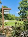 1815 Canoe Creek Drive - Photo 35