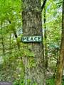 1815 Canoe Creek Drive - Photo 38