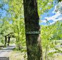 1815 Canoe Creek Drive - Photo 40
