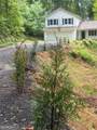 64 Hickory Lane - Photo 51