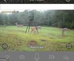 255 Frankie Lane - Photo 40