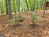 211 Winding Brook Trail - Photo 115