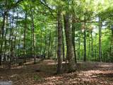 211 Winding Brook Trail - Photo 93