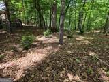 211 Winding Brook Trail - Photo 94
