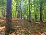 211 Winding Brook Trail - Photo 97