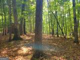 211 Winding Brook Trail - Photo 98