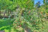 1700 Aqua Road - Photo 44