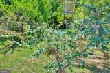 1700 Aqua Road - Photo 46