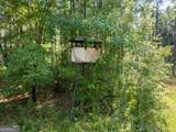 13320 Sunbury Road - Photo 14