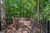 2230 Fleurie Lane - Photo 59