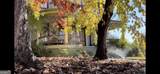 676 College Street - Photo 2