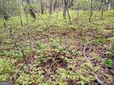 0 Rebel Circle - Photo 2
