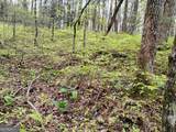0 Rebel Circle - Photo 7
