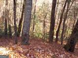 0 Rebel Circle - Photo 6