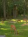 121 Katy Lake Road - Photo 62