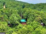 277 Hickory Nut Trail - Photo 43