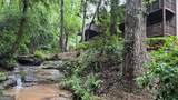 36 Mill Creek Trail - Photo 1