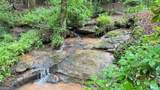 36 Mill Creek Trail - Photo 4