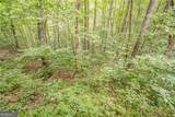 213 Moonshine Hollow - Photo 46
