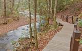 7670 Hiawassee Wilderness Trail - Photo 44