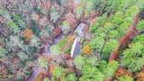 7670 Hiawassee Wilderness Trail - Photo 50