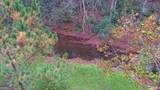 7670 Hiawassee Wilderness Trail - Photo 55