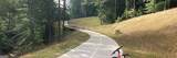 1938 Enota Drive - Photo 6
