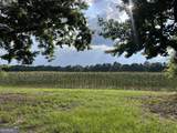 1665 Walke Dairy Road - Photo 10