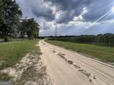 1665 Walke Dairy Road - Photo 15