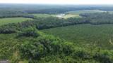 1665 Walke Dairy Road - Photo 25