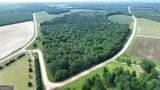 1665 Walke Dairy Road - Photo 28