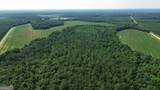 1665 Walke Dairy Road - Photo 30