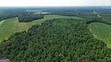 1665 Walke Dairy Road - Photo 31