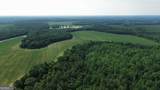 1665 Walke Dairy Road - Photo 32