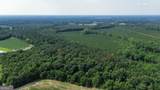 1665 Walke Dairy Road - Photo 36