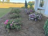 1665 Walke Dairy Road - Photo 48