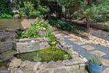 6293 Fernstone Trail - Photo 51