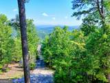 295 Tallulah View - Photo 64