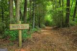 290 Old Anderson Creek Road - Photo 84