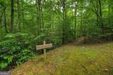 290 Old Anderson Creek Road - Photo 92